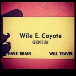 Meet your Posher, Lisa bianca